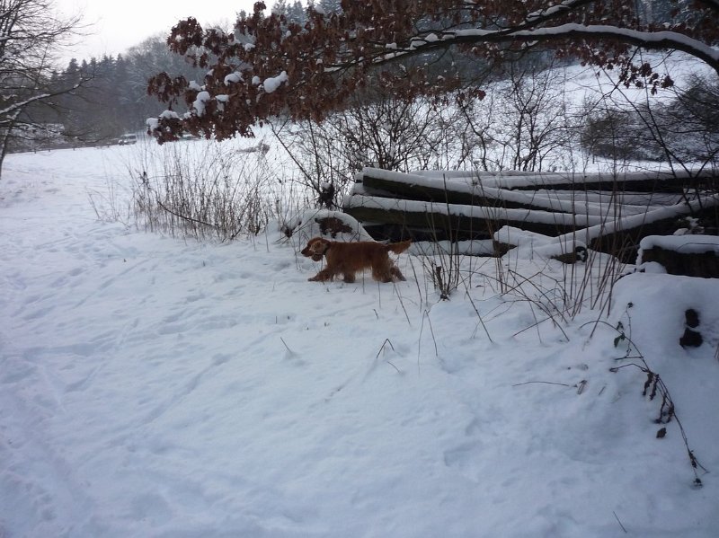 hon_konopiste (84).jpg